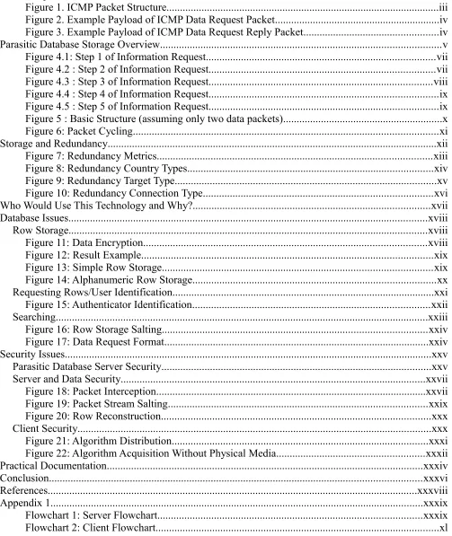 Figure 1. ICMP Packet Structure.....................................................................................................iii