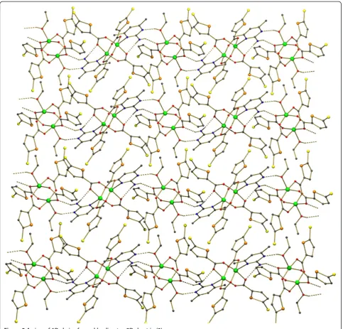 Figure 9 A view of 1D chains formed leading to a2D sheet in (3).
