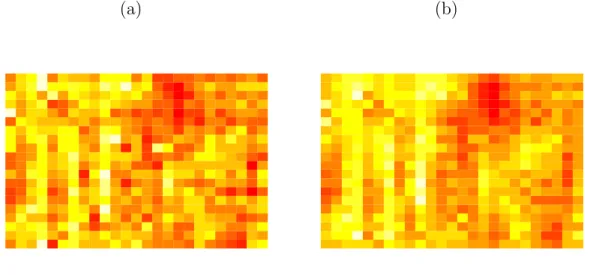 Fig. 4. Image of the wheat yield data. (a) Image of real wheat yield data (b) Image of fitted wheat yield data using BSAMC: black squares denote high yield area, and white squares denote low yield area.