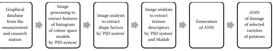 Figure 2. Procedure scheme