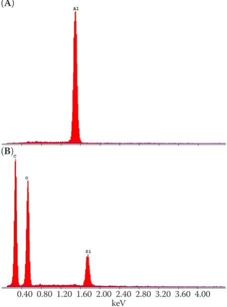Figure 5. EDX spectrum of foils