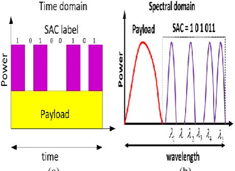 Fig. 1.  Schematic diagrams of spectral amplitude code (SAC) label: (a) time domain and (b) wavelength domain