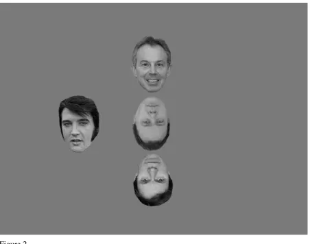 Figure 2. Example of a stimulus display with two (inverted) non-target faces (set size 3) and the 
