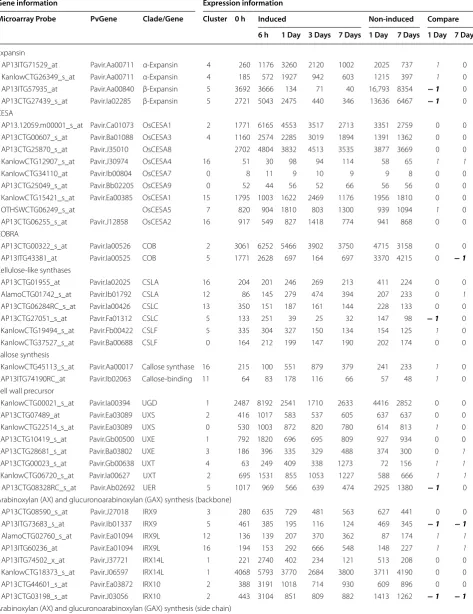 Table 1 Expression of switchgrass genes involved in cell wall development