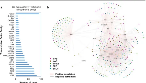 Fig. 7 Co‑expression analysis of transcription factors with lignin biosynthesis genes