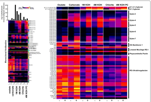 Fig. 4 Glycome profiling heat maps showing the relative abundance of cell wall glycan epitopes released sequentially from the AIR fraction of 7‑day BL‑induced and non‑induced suspension cells