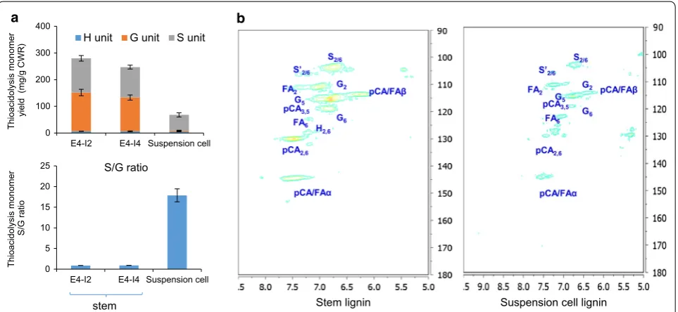 Fig. 5 A comparison of lignin quantity and quality in switchgrass stem and BL‑induced suspension culture