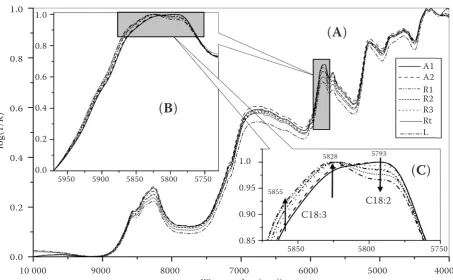 Figure 1. Average normalized FT-NIR spectra of whole seeds (A) and the region used for multivariate analyses (B) including three characteristic bands sensitive to fatty acid composition (C)