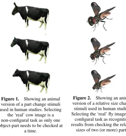 Figure 2.version of a relative size change