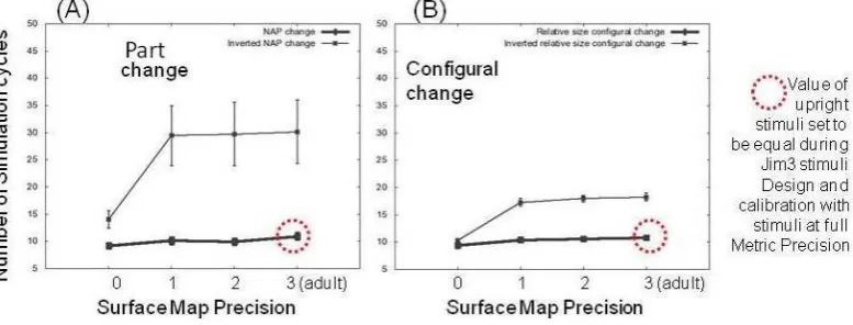 Figure 6.Showing simulation results of animals and artefacts experiment with the Surface Map at four different levels of ’development’.