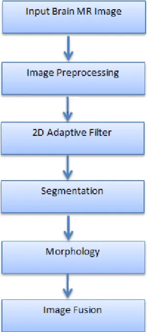 Fig 3. Preprocessing Step (a) Input image is displayed and (b) shows the result of 2D adaptive filter