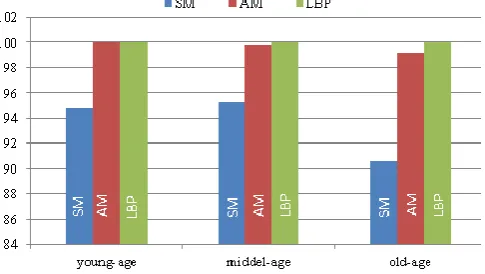 Fig. 11. Within Group Classification Accuracies 