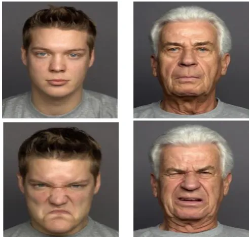 Fig. 14. Top row: neutral expressions, bottom row: disgust. Left column: a young example, right column and old example