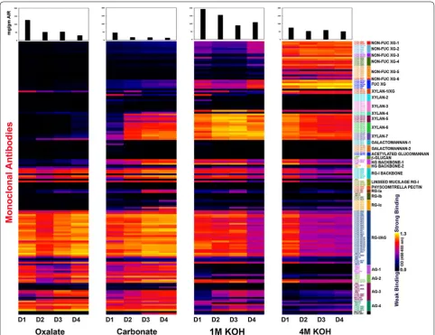 Fig. 1 Glycome profiling of cell walls extracted from inflorescence stems at different development stages of Arabidopsis