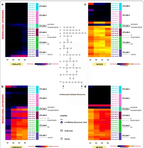Fig. 2 Xylan profiling of Col-0 inflorescence stems. ELISA binding signals specific to xylan epitope groups (Xylan2 to Xylan7) were isolated from this figure to depict distinct xylan epitopes enriched from different chemical extracts (a oxalate; b carbonat
