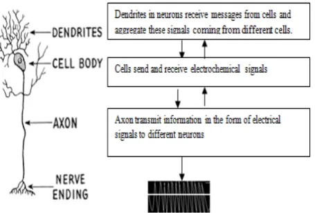Figure 1.                   Figure 3. Working of dendrites 