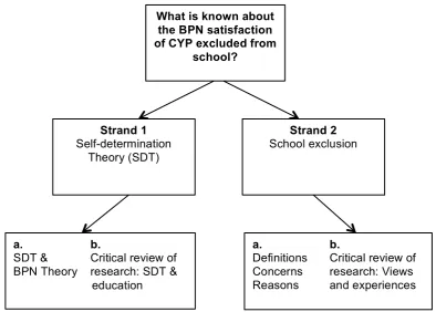 Figure 2.1: Map of strands identified for review 