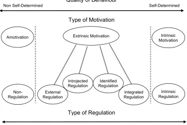 Figure 2.2. The self-determination continuum (adapted from Ryan & Deci, 2002, p. 16) 