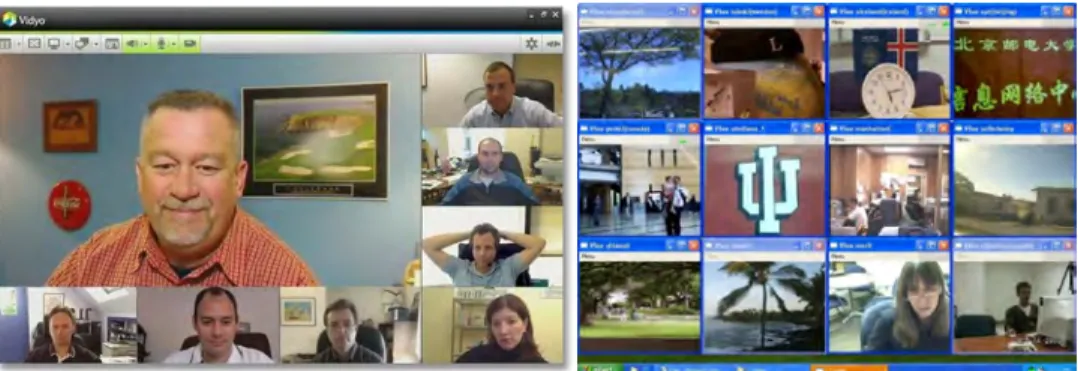 Fig. 3. Vidyo and Vsee Desktop videoconference systems 