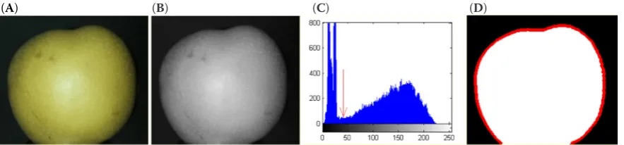 Figure 2. Pre-processing of a sample of Hosui pear: (A) original image, (B) greyscale image, (C) histogram of the greyscale image, (D) the segmentation result and contour of the fruit target