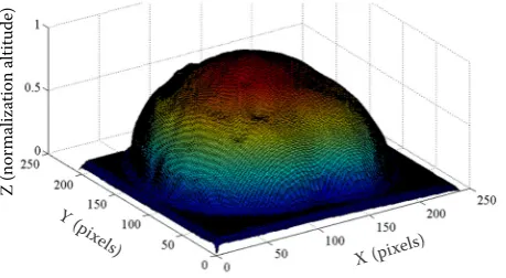 Figure 3. Estimation of the parameter αD at each of the points on the perimeter of a Hosui pear