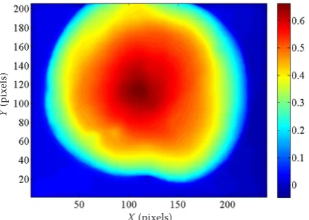 Figure 5. The geometric factors εg on the surface of a Hosui pear