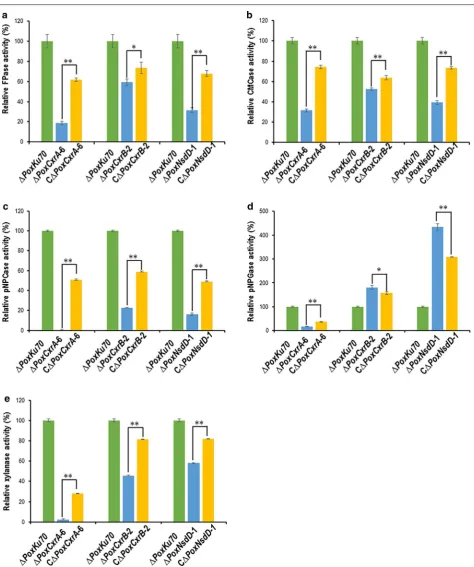 Fig. 5 Activities of crude enzymes from the complementary strains CΔPoxCxrA, CΔPoxCxrB and CΔPoxNsdD after a shift from glucose to Avicel