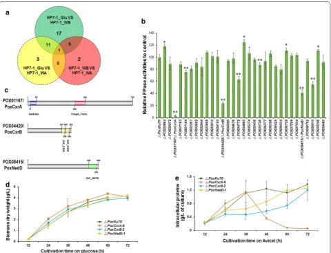 Fig. 2 Screening for and identification of novel regulators required for cellulase and xylanase production in Avicel as the sole carbon source 6 days after inoculation