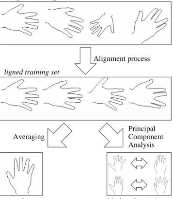 Figure 1 : Training a Point Distribution Model