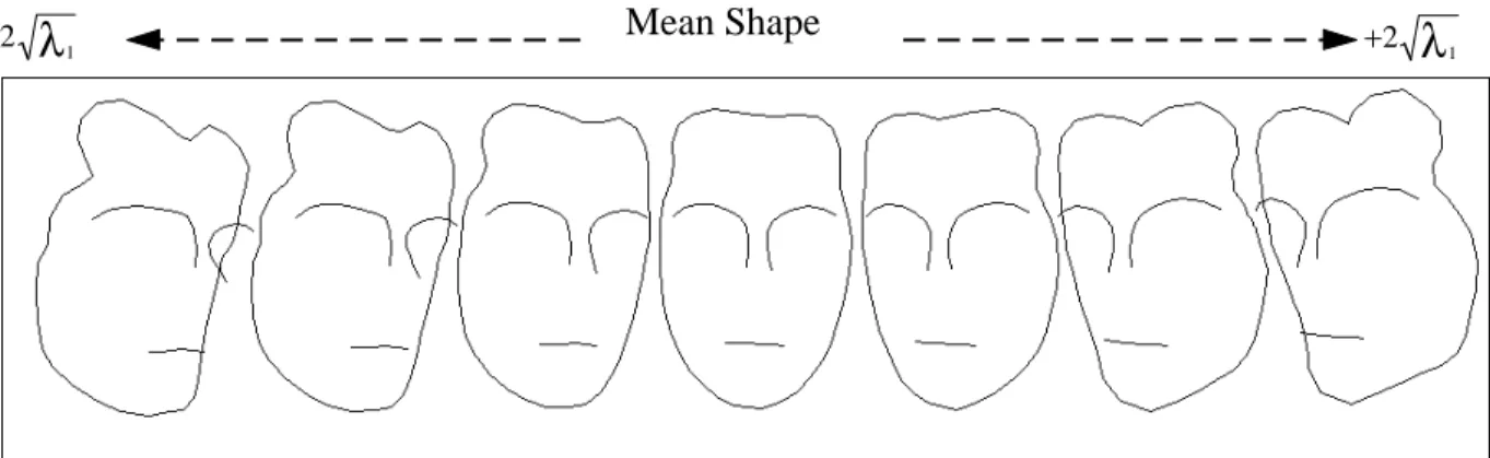 Figure 3 shows the primary mode of variation of the head model.  Here it can see that the primary mode is directly linked to the rotation of the head and this primary mode can be used in conjunction with the position scale and rotation to give a 5th degree