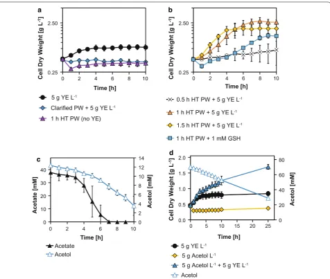 Table 3 Parameters during shaking flask cultivations of C. glutamicum wild-type using pyrolysis water as substrate