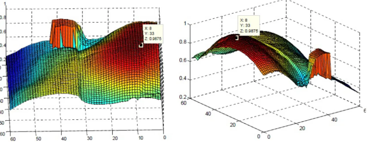 Fig.  3: The  surface  of  similarity  function  and  the  coordinates  of  the  maximum  in  the  similarity  of  the hand in  the  target  model  and  candidate  in  the  first  and  second  frame  consecutively.