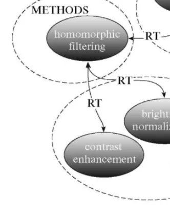 Fig. 1. Classification  scheme of  "homomorphic filtering" 