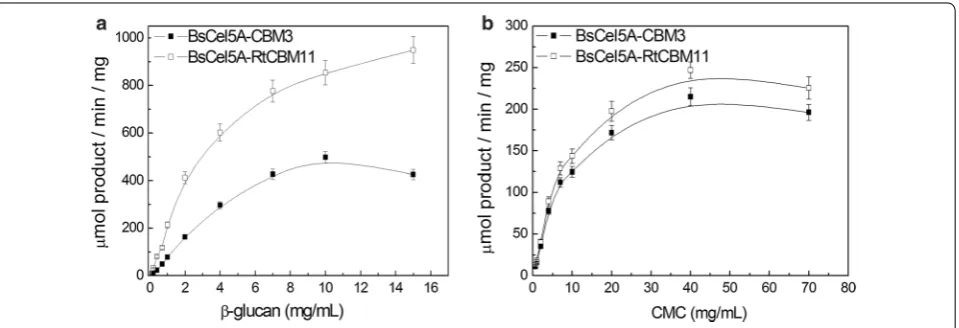 Fig. 1 The catalytic activity of the cysteine mutants BsCel5A‑CBM3 and BsCel5A‑RtCBM11 against (a) barley β‑glucan and (b) CMC