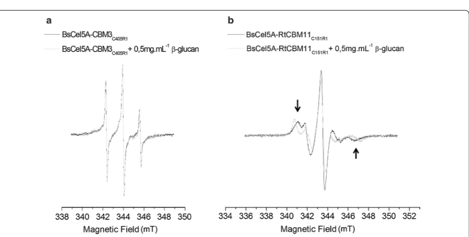 Fig. 2 Ribbon representations of the structures of the single cysteine mutants of (a) BsCBM3 and (b) RtCBM11 created by SWISS‑MODEL using the PDB file 2L8A and 1V0A, respectively, as templates