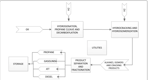 Fig. 1 Schematic process flow diagram
