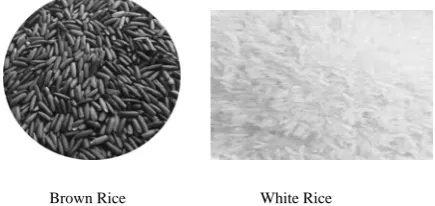 Fig. 1. Brown Rice versus White Rice  