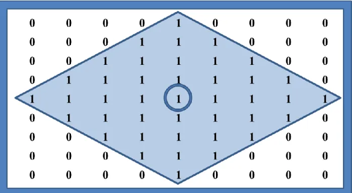 FIG: 3.5 9x9 Structuring Element containing 41 neighbors 