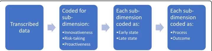 Fig. 1 A simplified overview of the development of the coding process