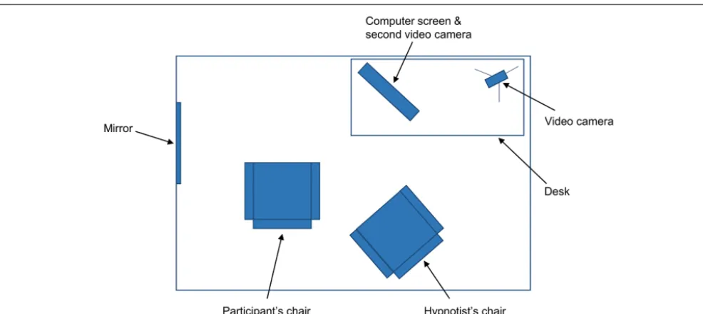 FIGURE 1 |Topographical view of materials in the experiment. The mirror was covered with a screen when the participant entered the room