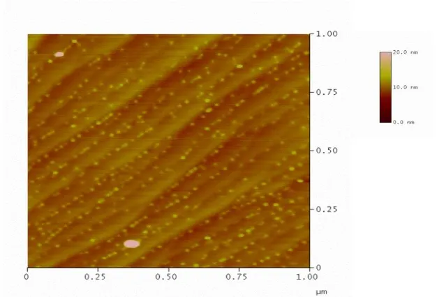 Figure 1.5 AFM micrographs near wafer center for MOVPE-grown SK mode InAs QDs grown on GaAs 