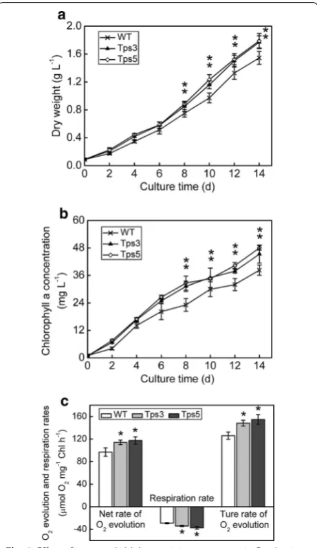 Fig. 4 Effect of increased aldolase activity on transgenic Basal medium supplemented with 5 mM  NaHCOBoth  Oobserved rate of  Oa concentration in transformants and WT cells