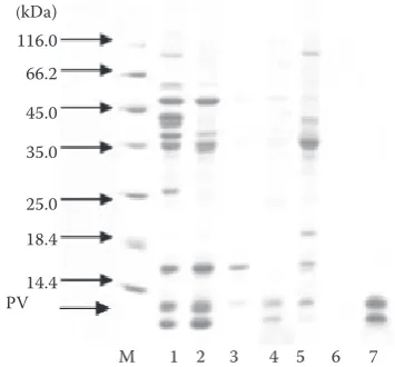 Figure 6. Indirect ELISA for parvalbumin in fish protein extracts (description in Table 1); each column and stand-ard deviation represent the mean OD values