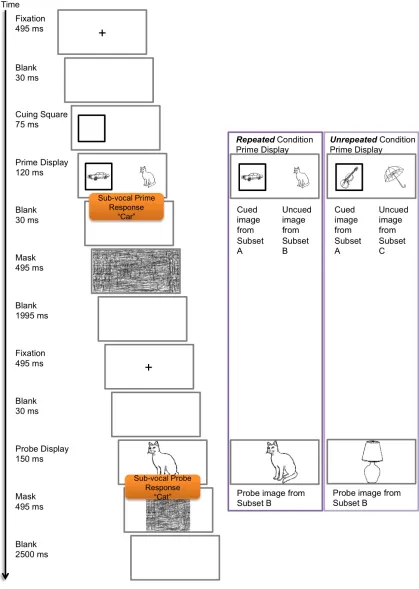 Figure 3-2: Example trial display sequence for Experiment 1. An example of the object allocation to subsets for the first participant is also shown