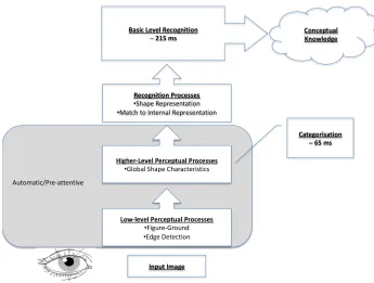 Figure 1-4: Schematic of the levels of object processing. 