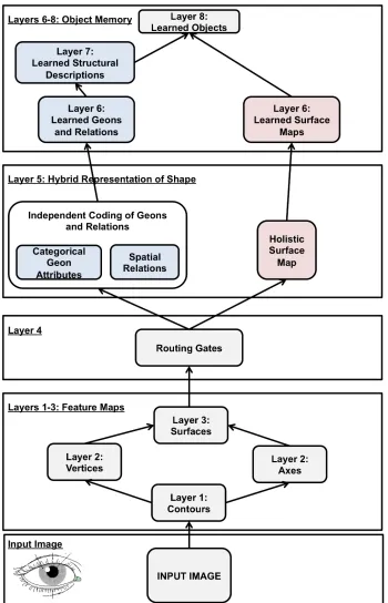Figure 1-14: Schematic of JIM3 (adapted from Hummel, 2001). The red boxes correspond to the holistic, unattended, route and the blue boxes to the analytic, attended, route of recognition