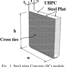 Fig.  1  Steel plate Concrete (SC) module  