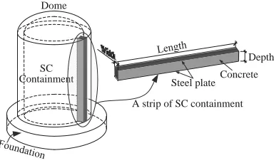 Fig.  2  SC nuclear containment and a cut strip  