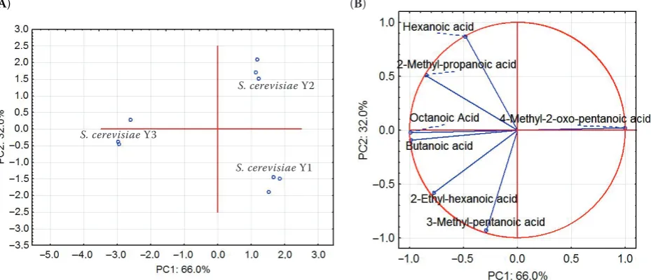 Figure 5. Score plot (Aacid profiles of Gewurztraminer wines fermented with three autochthonous strains of ) and loading plot (B) of the first and second principal components after the PC analysis of volatile S