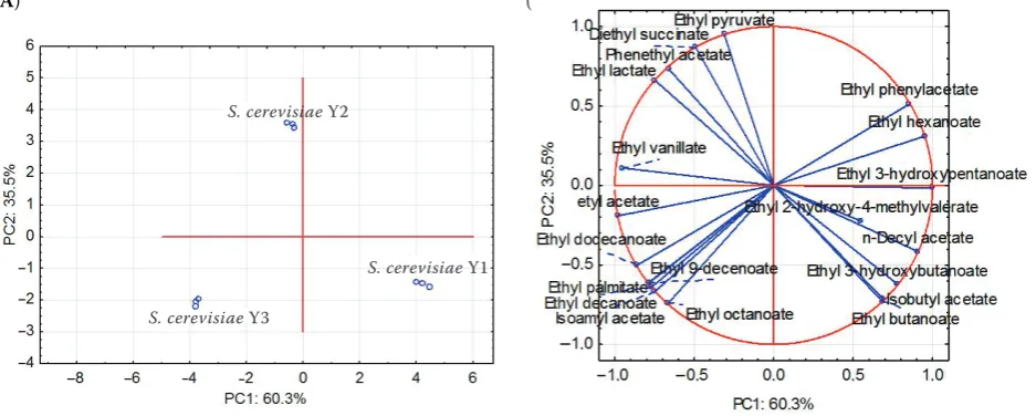 Figure 3. Score plot (Aalcohol profiles of Gewurztraminer wines fermented with three autochthonous strains of ) and loading plot (B) of the first and second principal components after the PC analysis of higher S
